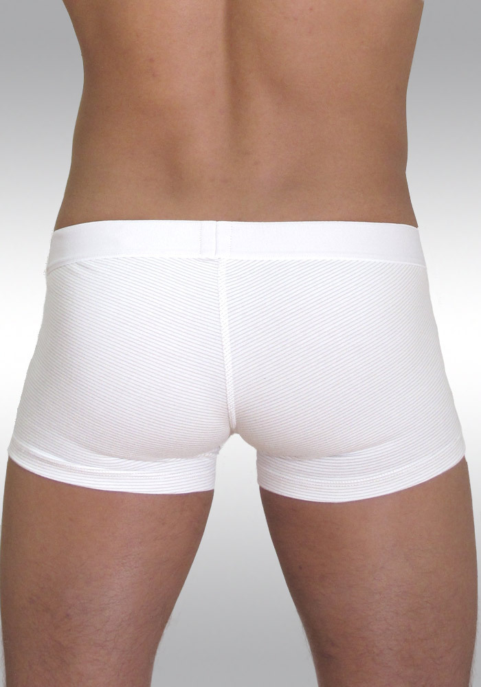 Pouch Boxer InCopper PLUS White with Gold Pinstripes by Ergowear - Back
