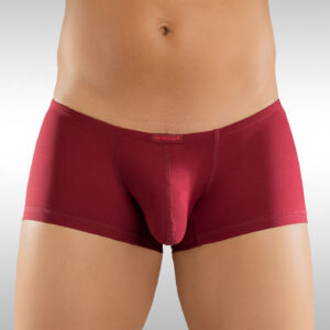 X4D Mini Boxer Front Burgundy