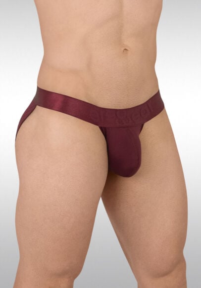 Men Ice Silk U Pouch Briefs Seamless G-string Thongs Panties T-back  Underwear US