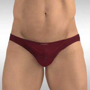 FEEL GR8 Bikini - Burgundy - Image 1