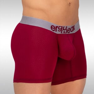 MAX Mesh Midcut - Burgundy - Image 2