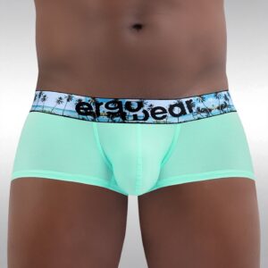 MAX SE Boxer - Aqua/Palms - Image 1