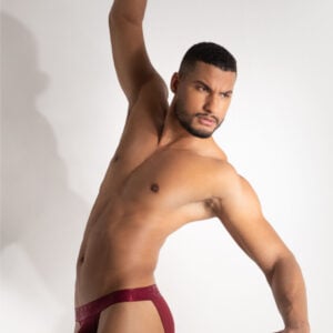 MAX XV Bikini - Burgundy - Image 4