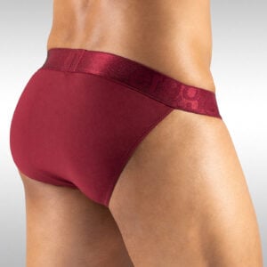 MAX XV Bikini - Burgundy - Image 3