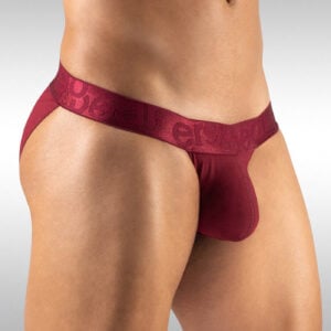 MAX XV Bikini - Burgundy - Image 2